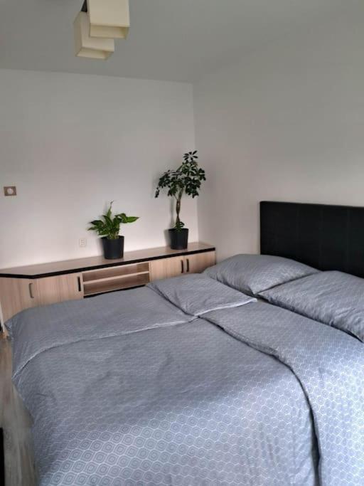Apartament Na 4 Pietrze Nowy Targ Extérieur photo